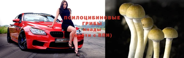 2c-b Михайлов