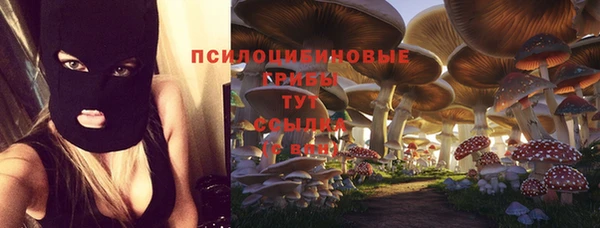 не бодяженный Мегион