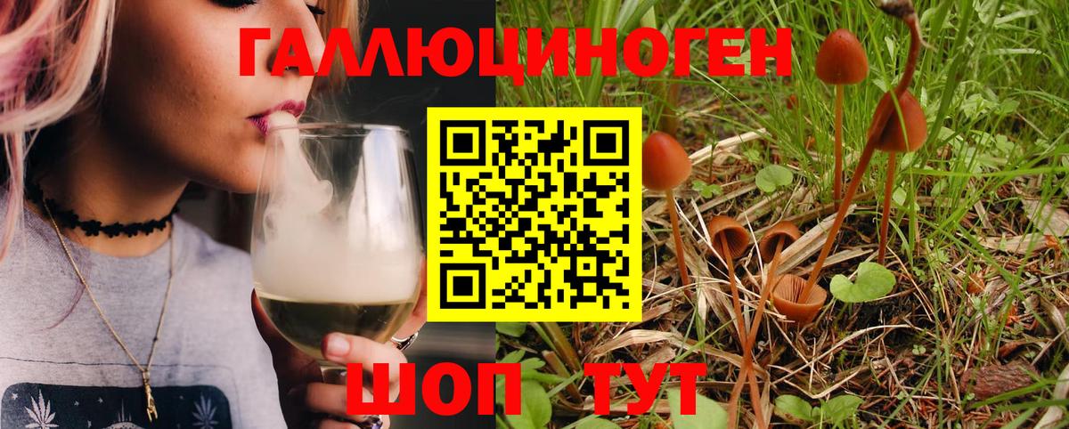 Галлюциногенные грибы мухоморы Ачинск